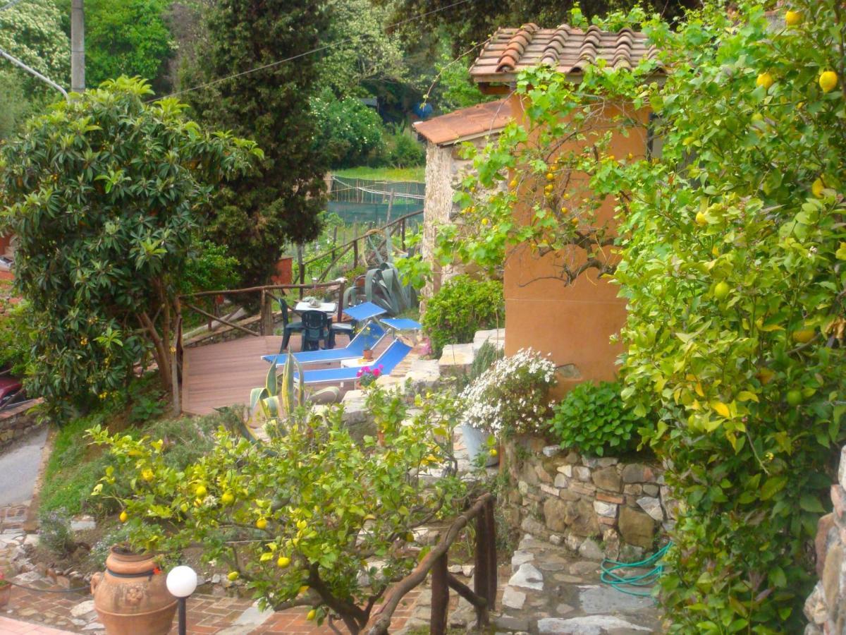 Holiday Home Bruna By Interhome Massarosa Εξωτερικό φωτογραφία